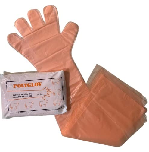 POLYGLOV Veterinary Long Hand Orange Plastic Gloves ,Code 7009IO (Regular, Pack of 100 pcs (50 Pairs)) (B09SVMPM1M) Amazon Price History, Amazon Price Tracker