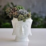 Buddha Head Planter Ceramic Flower Pot Planters for Home Garden Ofiice Desk Decor