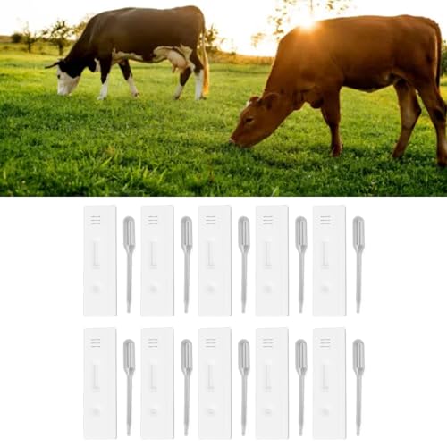 Image of Fdit Cow Pregnancy Test Strips High Accuracy Quick Detection Early Pregnancy Diagnosis Tool