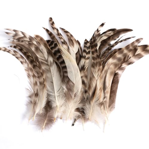 50 plumas naturales de chinchilla a granel de 8 a 10 pulgadas de largo, plumas de cola de gallo para manualidades, sombreros, disfraces, decoración de fiestas en el hogar, plumas sintéticas para