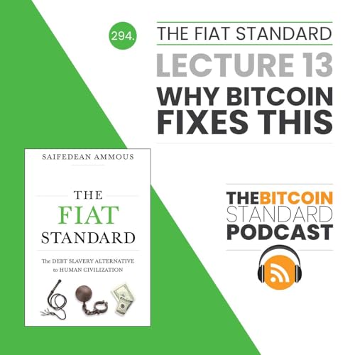 294. The Fiat Standard Lecture 13: Why Bitcoin Fixes This