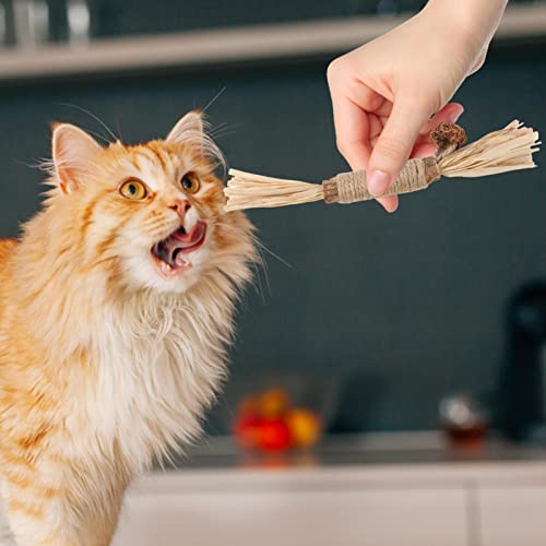 Vara de limpeza de dentes de gato | Snacks seguros para gatos, brinquedos para mastigar | Brinquedo