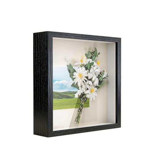 Anhow Cadre Ombre 6x6 Vitrage Réel Profondeur 1.2" Noir