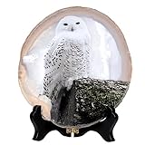 Détails de la taille – Tranche de cristal d'agate géode : 10 x 10 cm-12 x 14 cm, épaisseur : 7–10 mm ; support en bois : 7,5 cm de hauteur, 5,6 cm de largeur ; poids : 180–320 g. S/pc. Livré avec une boîte cadeau noire et un sac cadeau de marque, pratique pour la conservation ou pour offrir.