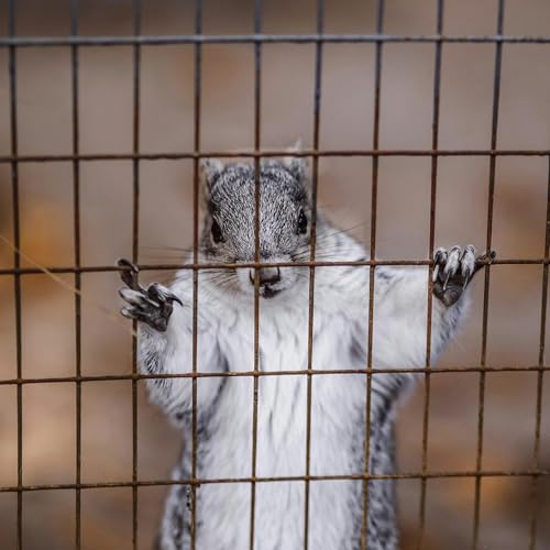 Gilles Deleuze - Postscript On the Societies Of Control Podcast Por  arte de portada