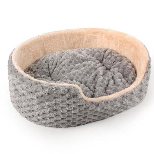 Peto-Raifu ybgxbh ybgNbV Lxbh LpNbV NbV ybg}bg ybg\t@ H~ ȉ~^ lR Eh Lp ^ 薰 ӂӂ  g ~ h ΍ 􂦂 ybgpi 