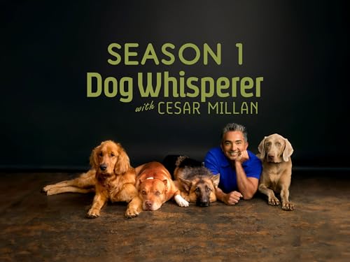 Dog Whisperer with Cesar Millan - Season 1
