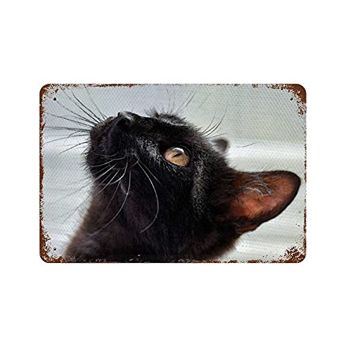 Graman Targa in metallo anticato, con scritta in lingua inglese "Everything Will Kill You So Choose Something Fun", in metallo, per canoa, da parete, in alluminio, 14 x 20 cm