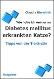 Wie helfe ich meiner an Diabetes mellitus erkrankten Katze? (Tipps von der Tierärztin 3)