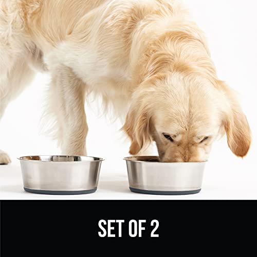 Gorilla Grip Stainless Steel Metal Dog Bowl Set Of 2, Rubber Base, Heavy Duty, Rust Resistant, Food Grade Bpa Free, Less Sliding, Quiet Pet Bowls For Cats And Dogs, Dry And Wet Foods, 2 Cups, Gray #TOP6