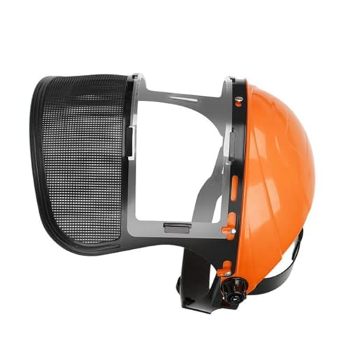 [Whoasyst] tJobWیNAV[hϏՌ\ȃwbhMAwbgXqtFCXV[hƐؒfp