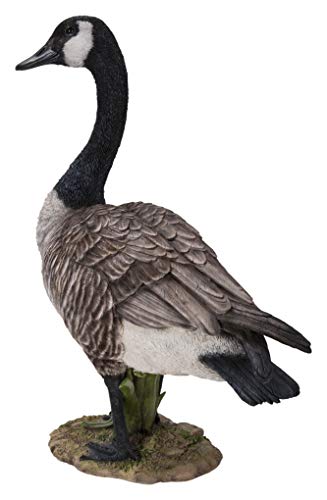 Hi-Line Gift Standing Canada Goose Statue, Grey/Natural #TOP2