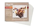 Speedball Art Products 811722 Fluid 100 Artist Watercolor Paper 140 lb Cold Press 11 x 14 Sheet Pochette, InchPochette, 100% Cotton Natural White 10