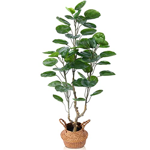 Kazeila Artificial Aralia Balfour Tree,Fake Greenery Plant,Come With Woven Seagrass Belly Basket,Indoor Outdoor Modern Decoration,3.4 Feet #TOP20