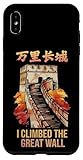 Great Vintage Art Wall Of China