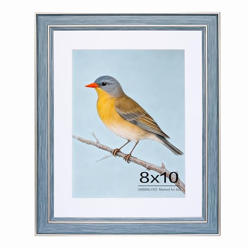 UMBRALYXO 8x10 Blue Picture Frame Vintage Retro Style HD Plexiglass