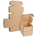 Corrugated Cardboard Shipping Boxes, 100x100x53mm Royal Mail Small Parcel PIP Boxes, Packaging Mailing Boxes for Business, Posting, Storing or Gift(Pack of 10)