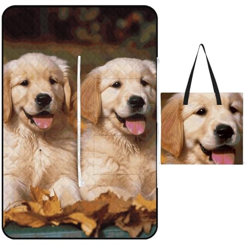 Tapis de plage pliable imperméable pour protéger votre chien de l'humidité - 2