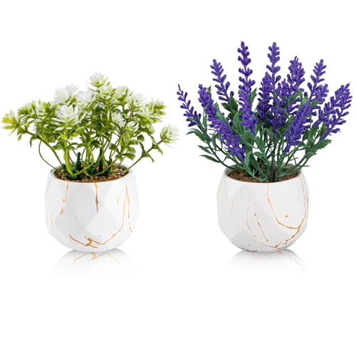 ZENIDA Piante artificiali e piante grasse in 2 vasi di ceramica bianca, piccole piante finte lavanda e fiori selvatici per decorazione ufficio e bagno, scrivania, camera da letto, scaffali