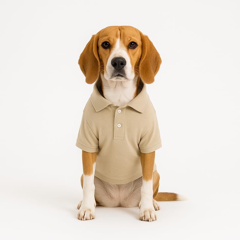 Image of Thunder Tails Premium Cotton Polo Dog T-Shirt | for Medium Dogs | Beige | 2XL | for Cocker Spaniel, Hound, Beagle & Corgi
