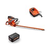 Fuxtec 40V Akku Heckenschere E522D Lithium Batterie mit one Battery fits All Geräte, Getestet in der Oberklasse mit Note 1,4, Set mit Akku 2.0Ah/EP20 + Ladestation EC20