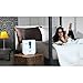 Imagen de BONECO Humidificador nebulizador U200