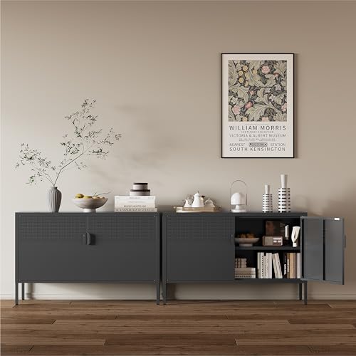 Image of Metal Storage Cabinet,2 Door TV Stand, Metal Mesh Accent Cabinet