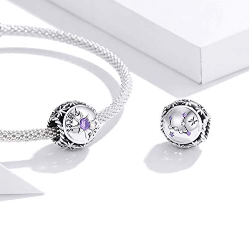 Image of 12 Constellation Charms 925 Sterling Silver Crystal Zircon Charms Family and Friends' Birthday Charm Birthstone Charms for Women Bracelets