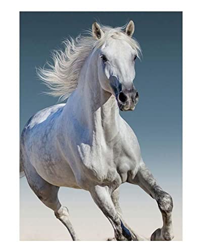 Couverture douillette pour enfant 100 x 140 cm Motif cheval Cover