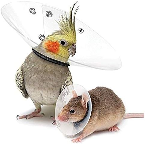 KVP Saf-T-Shield Elizabethan Collar for Rodents & Birds-Fits 4.7-5.5" Neck Opening Circumference