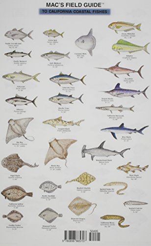 Pacific Books 0-89886-1005 Mac'S Field Guides: California Coastal Fish thumb #1