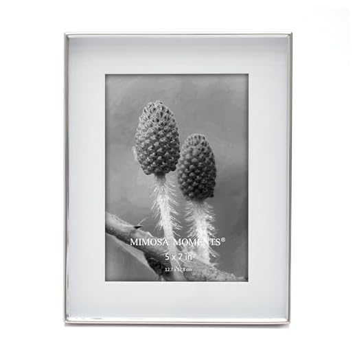 MIMOSA MOMENTS 7x9 Metal Picture Frame with Mat for 5x7 Photo, Shadowbox Frame for Tabletop Display (Silver, 5x7)