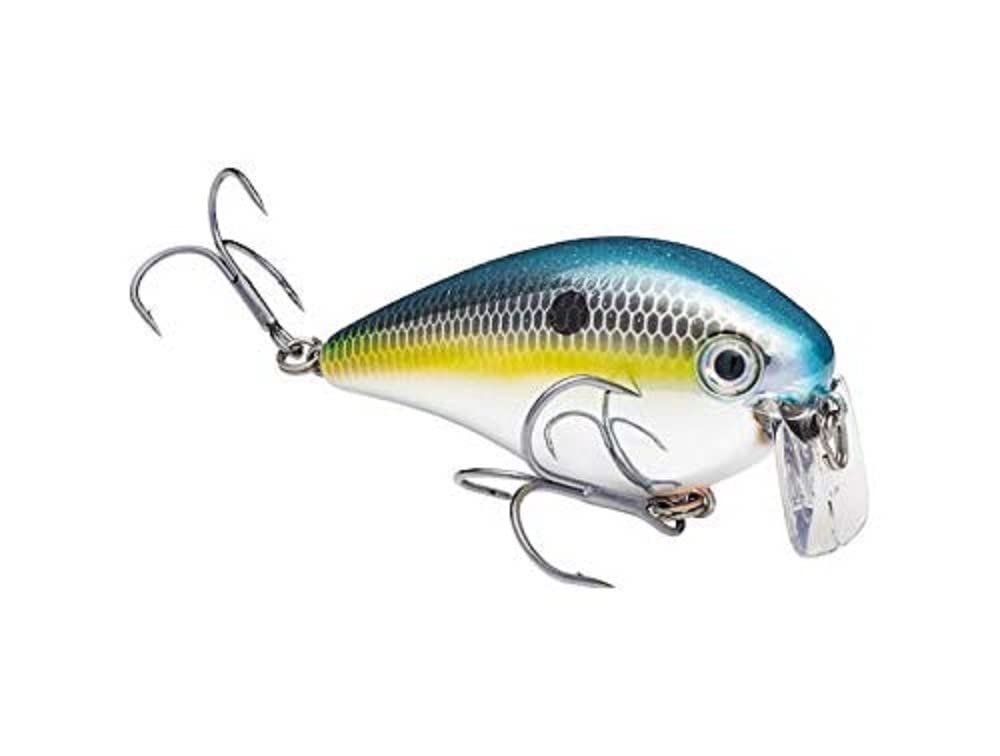 Strike King KVD 2 5 Wake Bait 1