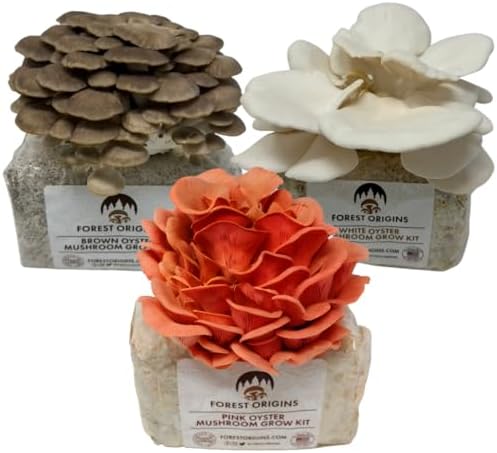 Forest Origins Specialty Trio Oyster Mushroom Grow Kit 3-Pack Variety - Beginner Friendly & Easy to Use, Grows in 10 Days | Handmade in California, USA | Top Gardening Gift, Holiday Gift & Unique Gift