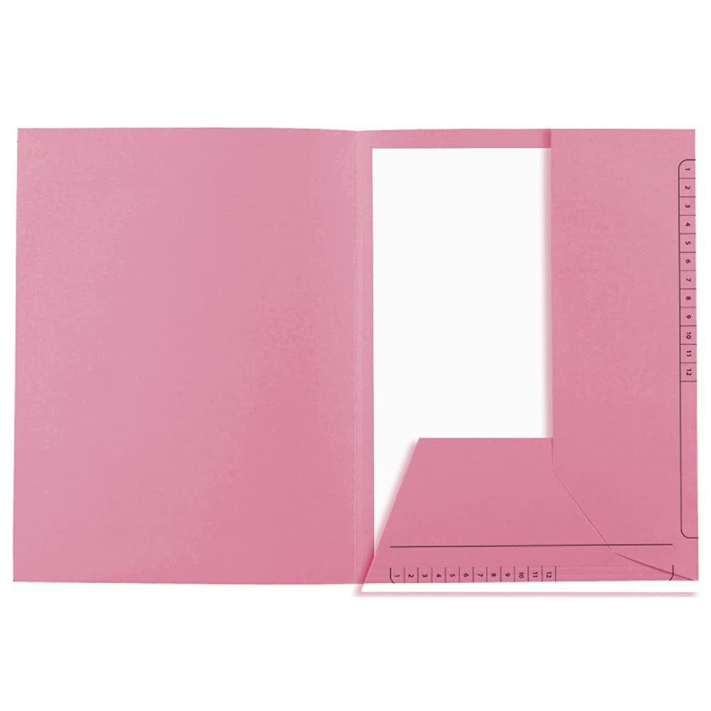 Exacompta - Ref. 334003E - Karton mit 5 Packungen mit je 25 Schnellheftern bedruckt mit 2 Klappen SUPER 210 g/m² - Pastellfarben - PEFC™ zertifiziert - Maße: 24 x 32 cm für DIN A4 - Farbe Rosa