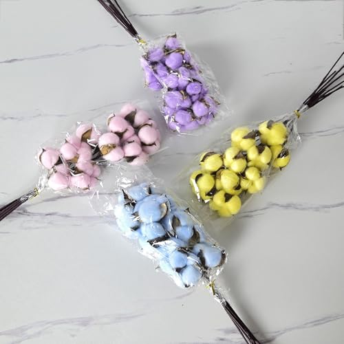 Pack de 10 tallos de flores de algodón natural secas miniatura 4