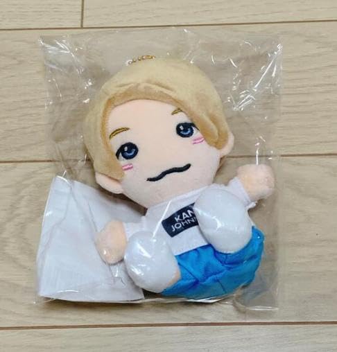 Amazon.co.jp: 当日1 Aぇgroup 正門良規 ちびぬい : おもちゃ