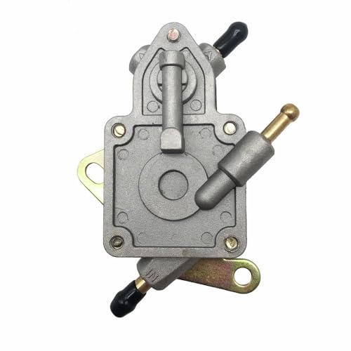 Carburant système RZR 170 pour rouler en toute sécurité lors des sorties outdoor