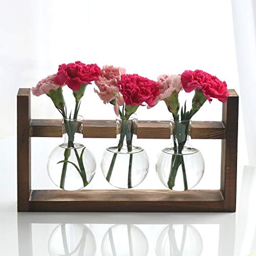 Kingbuy Plant Propagation Station Glass Terrarium Planter Flower Pot With Retro Solid Wooden Stand For Home Kitchen Indoor Garden Wedding Desktop Decor, 3 Bulb Vase #TOP4