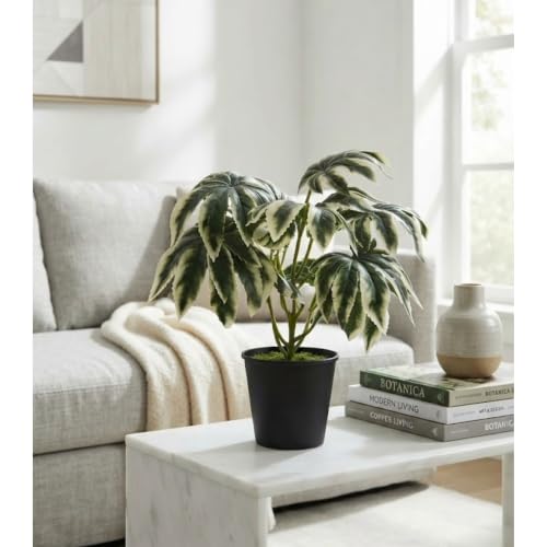 Image of Foliyaj Artificial Ivy Plant, Black Rimmed Pot