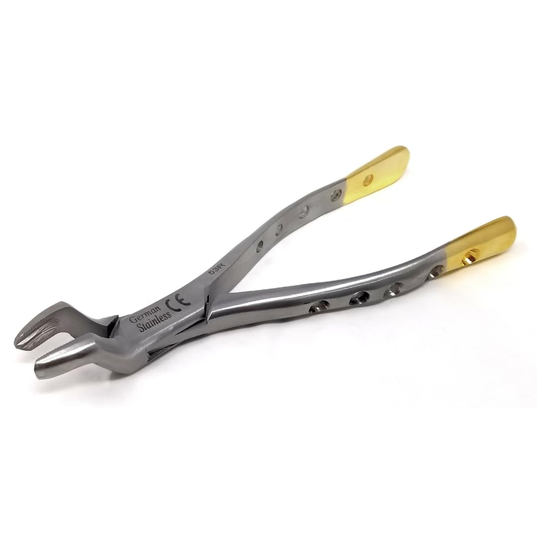 IMEDS Dental Extracting Forceps #53R with Serrated Beaks Upper Right Molar Tooth Extraction German Stainless Steel Tools Comes in Gold Handle