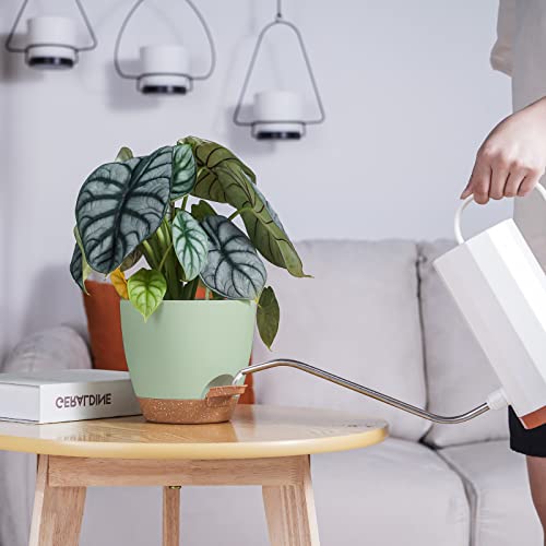 Jofamy 6 Inch Planter Pots, 5-Pack Self Watering Planters For Indoor Outdoor Plants, Plastic Plant Pots Set With Drainage Hole, Decorative Mint Green Flower Pots For All House, Garden Plants #TOP4