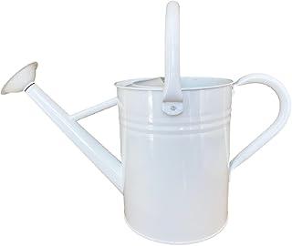 1 Gallon Metal Watering Can with Easy Removable Spout for Outdoor Plants (White1)
