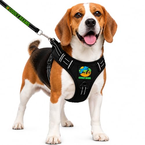 Image of Adjustable Padded Dog Harness with Leash, Black, S (11-15 kg)