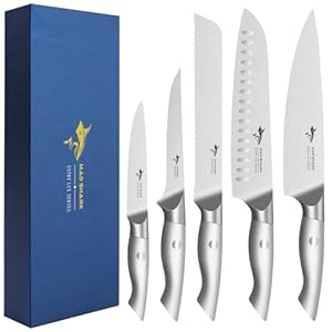 Kitchen Knife Set, Razor Sharp Knife Set Dishwasher Safe, High Carbon Stainless Steel Knives Set for Kitchen, 5 Piece Chef Knife Set with Gift Box