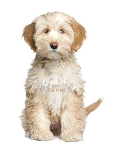Journal: Tibetan Terrier Puppy