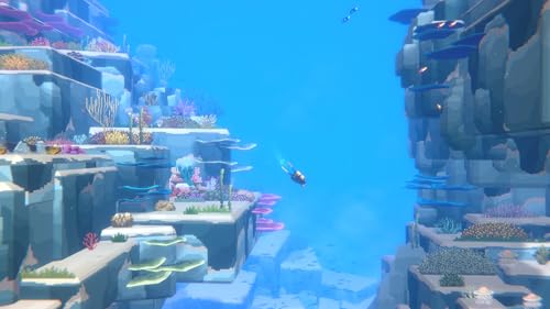 Dave the Diver Complete Edition Jeu Nintendo Switch 2 - vue 4