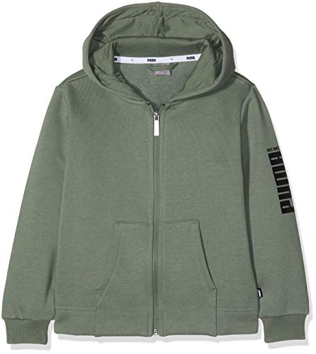 Preisvergleich Produktbild PUMA Jungen Rebel Bold FZ FL Sweatshirt, Laurel Wreath, 176