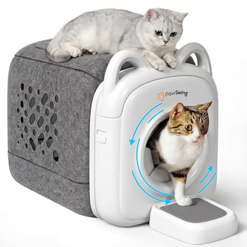 How many kittens do cats have their first litter