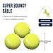BOT Automatischer Ballwerfer für Hunde, inkl. 3Stk Hundebälle. Interaktives Hundespielzeug für Zuhause und Draußen (Ifetch Maxi 6.4cm)